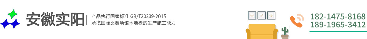 安徽實(shí)陽體育設(shè)施工程有限公司